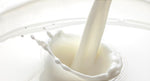 Cheese Lovers Newsletter (10.12.2020): Where does 90% of your milk go?